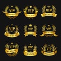 VIP members club emblems design set. Golden badges labels. Exclusive membership signs