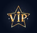 VIP star lettering, logo, stamp, sticker. Creative composition in gold color