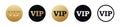Vip user token icon. Premium member Royalty Free Stock Photo