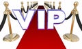 VIP Very Important Person Red Carpet Letters Event