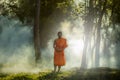 Vipassana meditation monk walks in a quiet forest.