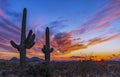 Colorful Arizona Sunset With 2 Cactus Near Phoenix