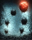 Viral infection attacks