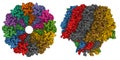 Atomic structure of the Epstein-Barr portal, structure I