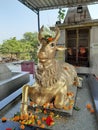 Nandi Statue In veerbhadra Temple, Rishikesh, UK