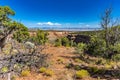 Virew of Colorado National Monumnet from Rim Rock Drive