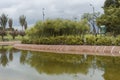 A Virgilio Barco public library park with small lake reflections an endemic andean vegetation