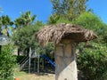 Virgin Beach and sunshades, Bangaram, Lakshadweep Islands, India, Indian Ocean, Asia Royalty Free Stock Photo