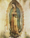 The Virgin of Guadalupe known as the Queen of Americas