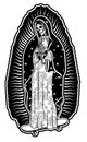 Virgin of Guadalupe on a skateboard. The Virgin Skeleton Mary Vector Poster Illustration.