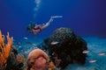 VIrgin Islands Caribbean Scuba Girl Royalty Free Stock Photo