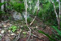 Virgin Islands National Park