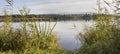 Virgin landscape with reed grass and moor lake, mountain view