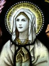 Virgin Mary Royalty Free Stock Photo