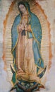 Virgin Mary Guadalupe Royalty Free Stock Photo