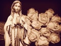 Virgin Mary mother of God praying rosary Christian statue statuette figurine and white roses Royalty Free Stock Photo