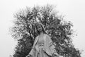 The Virgin Mary statue against tree and sky in black and white. Royalty Free Stock Photo