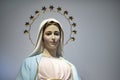 Virgin Mary Royalty Free Stock Photo