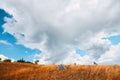 Virgin nature and camping concept. Grey tent and chair on dry grass. Empty meadow for rest. Fresh air and new adventure. Royalty Free Stock Photo