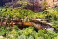 Virgin nature paniramic view of Zion National Park Royalty Free Stock Photo