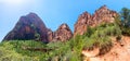 Virgin nature paniramic view of Zion National Park Royalty Free Stock Photo