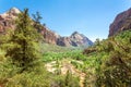 Virgin nature paniramic view of Zion National Park Royalty Free Stock Photo