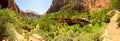 Virgin nature paniramic view of Zion National Park Royalty Free Stock Photo