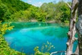 Virgin nature of Plitvice lakees national park, Croatia Royalty Free Stock Photo