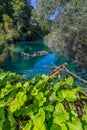 Virgin nature of Plitvice lakes national park, Croatia Royalty Free Stock Photo