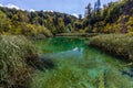 Virgin nature of Plitvice lakes national park, Croatia Royalty Free Stock Photo