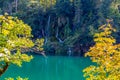 Virgin nature of Plitvice lakes national park, Croatia Royalty Free Stock Photo