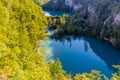 Virgin nature of Plitvice lakes national park, Croatia Royalty Free Stock Photo