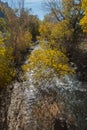 The Virgin River in Autumn, Zion National Park, Utah Royalty Free Stock Photo