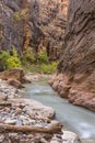 Virgin River Bend Royalty Free Stock Photo