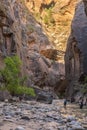 The Virgin River Canyon, with light clipping the top part of the canyon and two hikers crossing the river Royalty Free Stock Photo