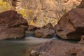 Virgin River Autumn Landscape in Zion National Park Royalty Free Stock Photo