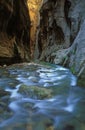 Virgin River Narrows