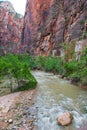 Virgin River near the Narrows, Zion National Park