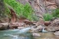 Virgin River. Riverside Walk, Zion National Park, UT Royalty Free Stock Photo