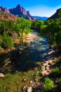 Virgin River running through Zion National Park,Utah Royalty Free Stock Photo