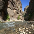 Virgin River square Royalty Free Stock Photo