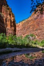 Virgin River Valley in Zion National Park at Sunset Royalty Free Stock Photo