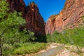 Virgin River Valley in Zion National Park at Sunset Royalty Free Stock Photo