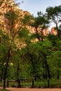 Virgin River Valley in Zion National Park at Sunset Royalty Free Stock Photo