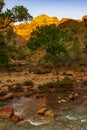 Virgin River Valley in Zion National Park at Sunset Royalty Free Stock Photo