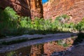 Virgin River Valley in Zion National Park at Sunset Royalty Free Stock Photo