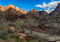 Virgin river valley in the Zion National Park, Utah Royalty Free Stock Photo