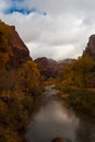 Virgin River in Zion