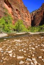 Virgin River Zion National Park Royalty Free Stock Photo