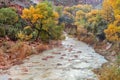 Virgin River Zion National Park in Fall Royalty Free Stock Photo